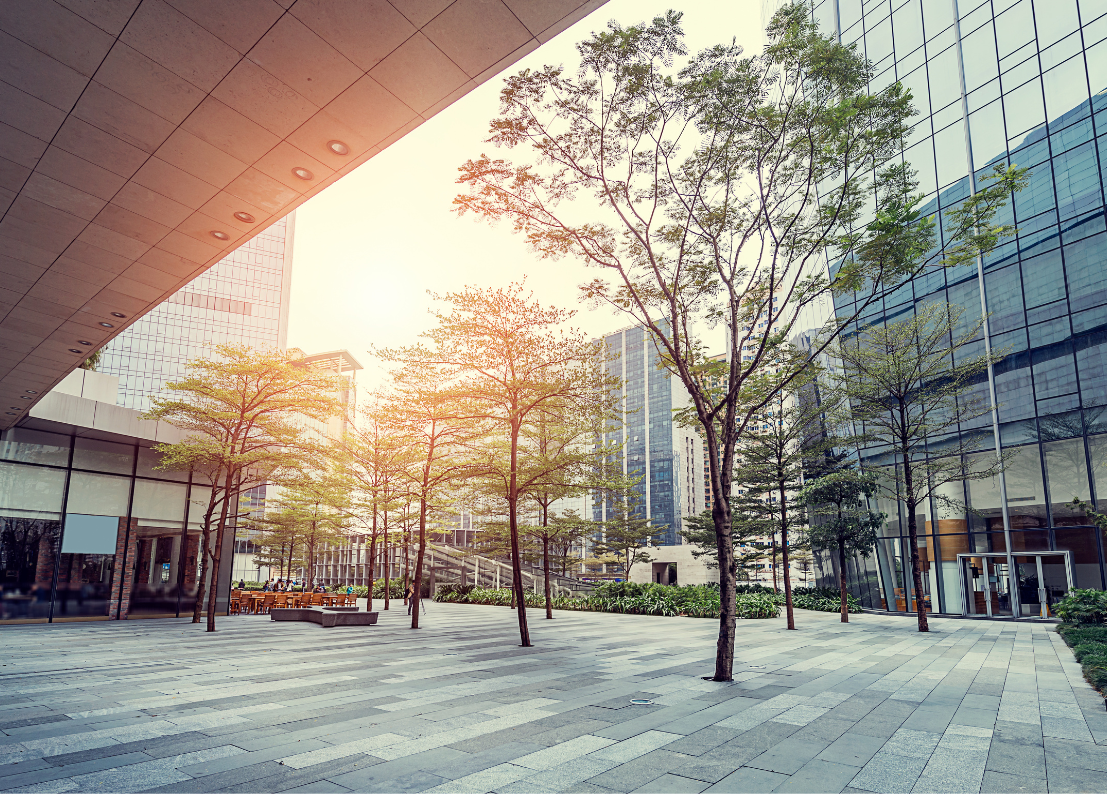 Commercial architecture and BIM services for businesses